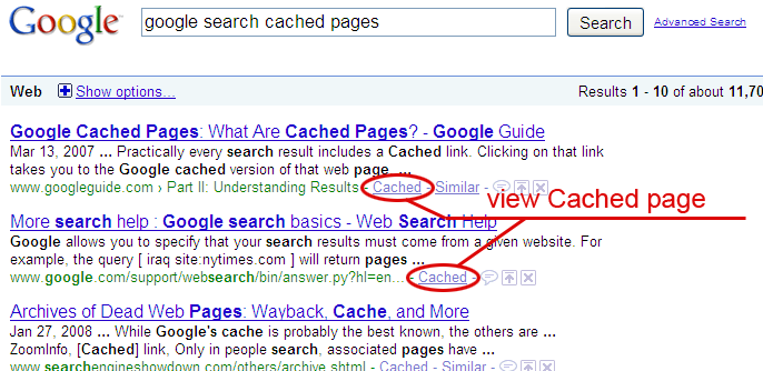Google Search Results - Cached Page Link